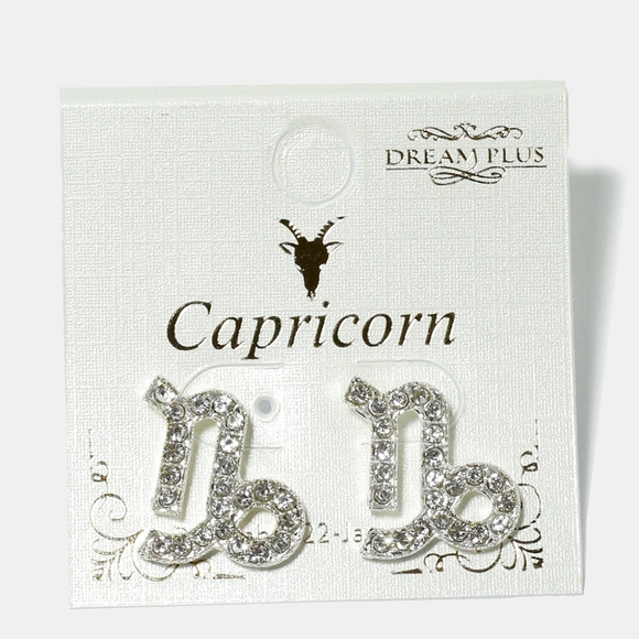 Silver Tone Rhinestone Capricorn Astrology earrings - Picture 1 of 2